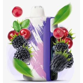 Электронная сигарета Elf Bar Ice King 30000 Blackberry Cranberry (Черника Клюква) Felix Shop