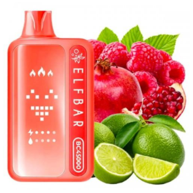 Электронная сигарета Elf Bar BC45000 Pomegranate Raspberry Lime (Гранат Малина Лайм) Felix Shop